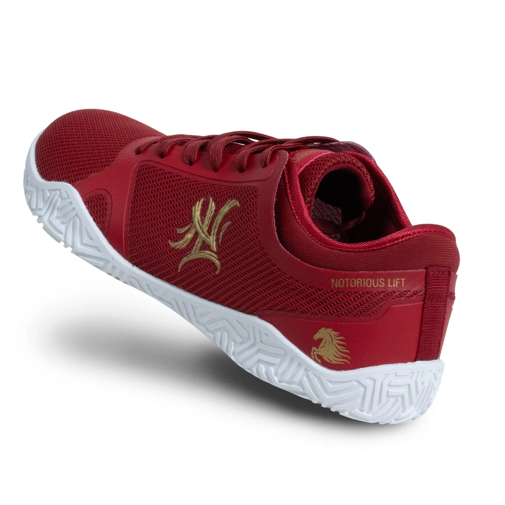 Radix Pro: Year of the Horse - Notorious Lift